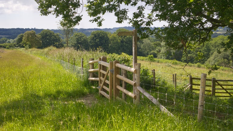Summer woodland with view over fields and a fingerpost sign